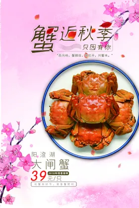 大闸蟹阳澄湖宣传单京东展架