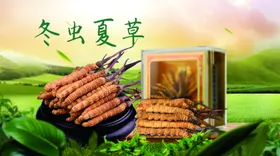 冬虫夏草西藏画册正宗简介