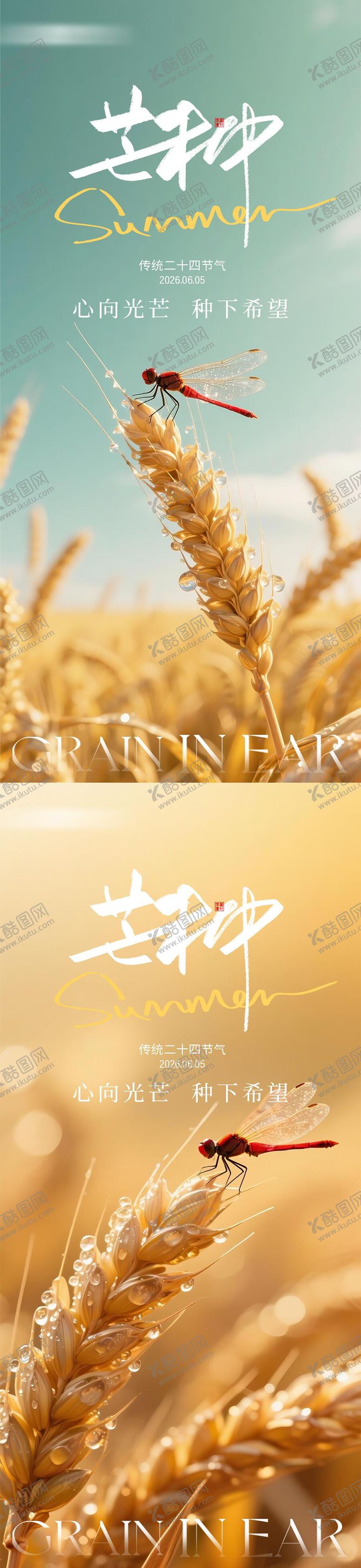 编号：66965106010001155621【酷图网】源文件下载-地产芒种节气海报