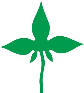 花纹图案