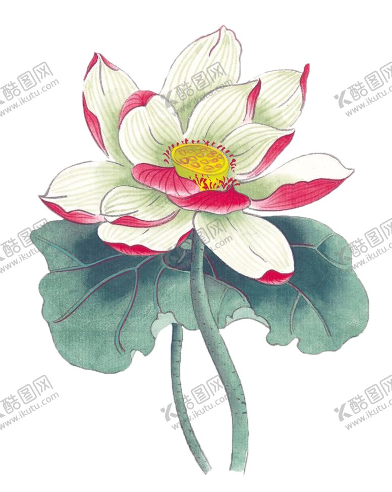 编号：36968710070955146553【酷图网】源文件下载-古风国风工笔画花免抠素材