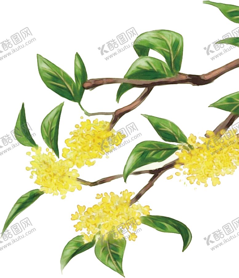 编号：24743507080542345660【酷图网】源文件下载-装饰素材