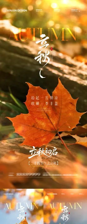 立秋节气枫叶海报