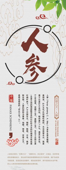 人参卡布灯箱画面
