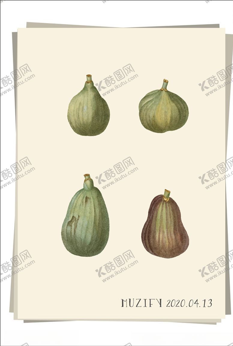 编号：52054407022100314120【酷图网】源文件下载-4款入无花果水果图鉴