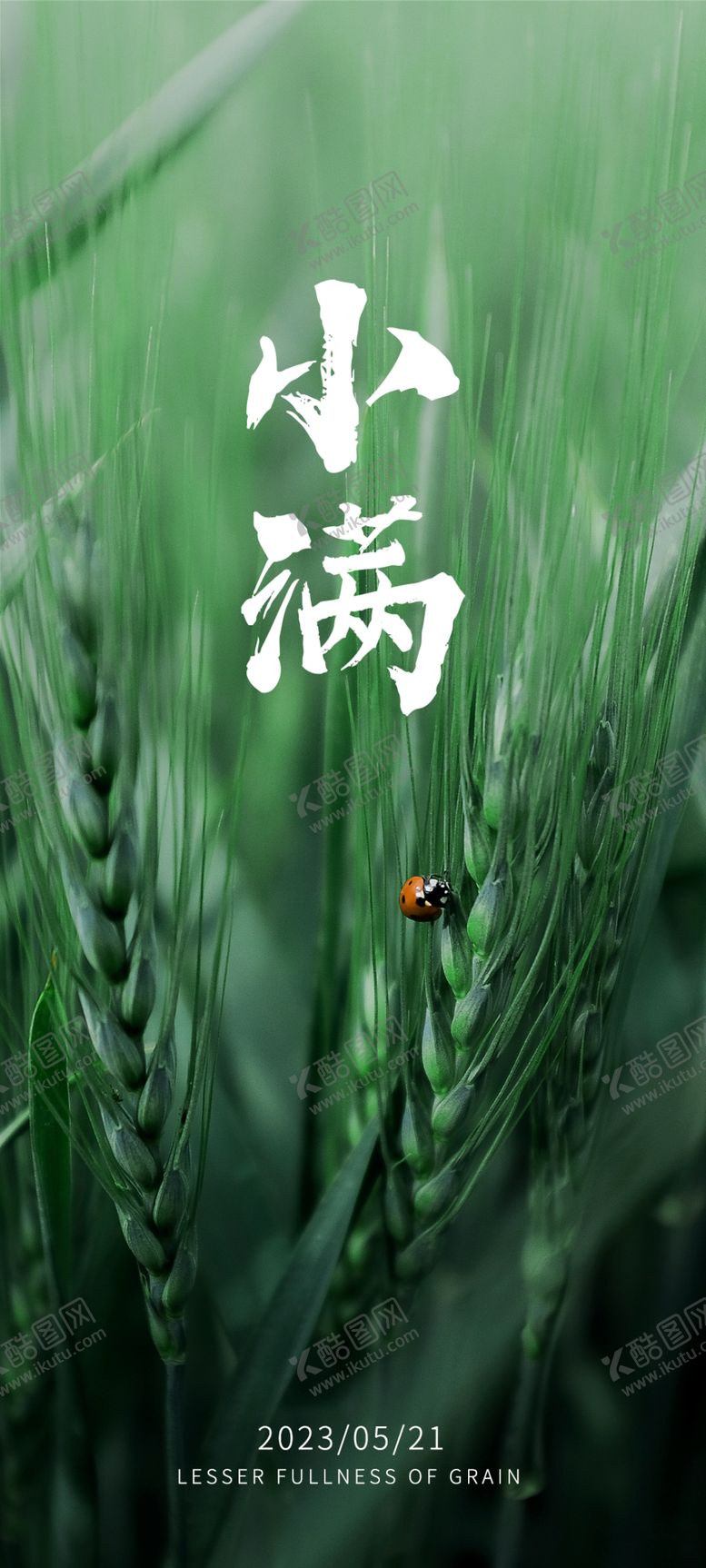 编号：85324009252228544860【酷图网】源文件下载-小满海报