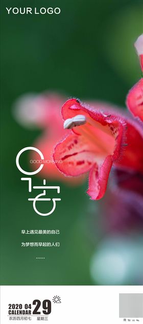 唯美早安