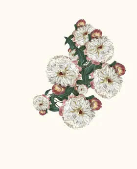 数码印花子碎抽象卉大