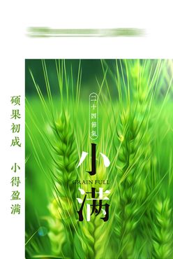 小满壁纸传统节气