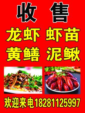 龙虾喷绘布
