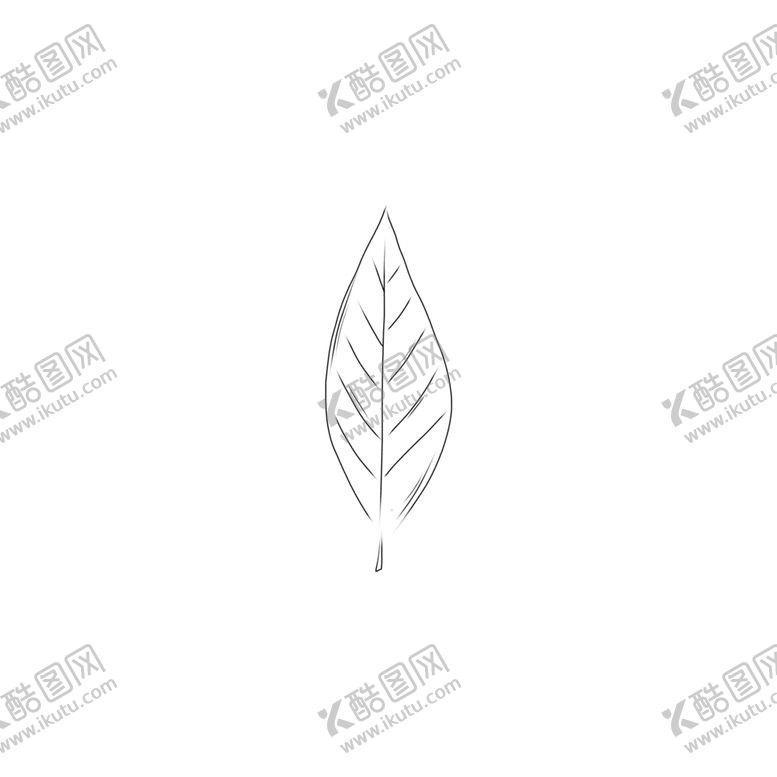 编号：62581507141057203847【酷图网】源文件下载-手绘植物叶片