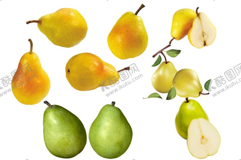 编号：64579810290201023350【酷图网】源文件下载-梨子