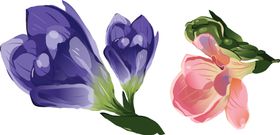 花卉