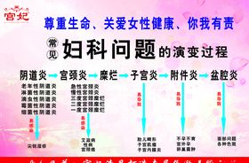 宫妃美容养生