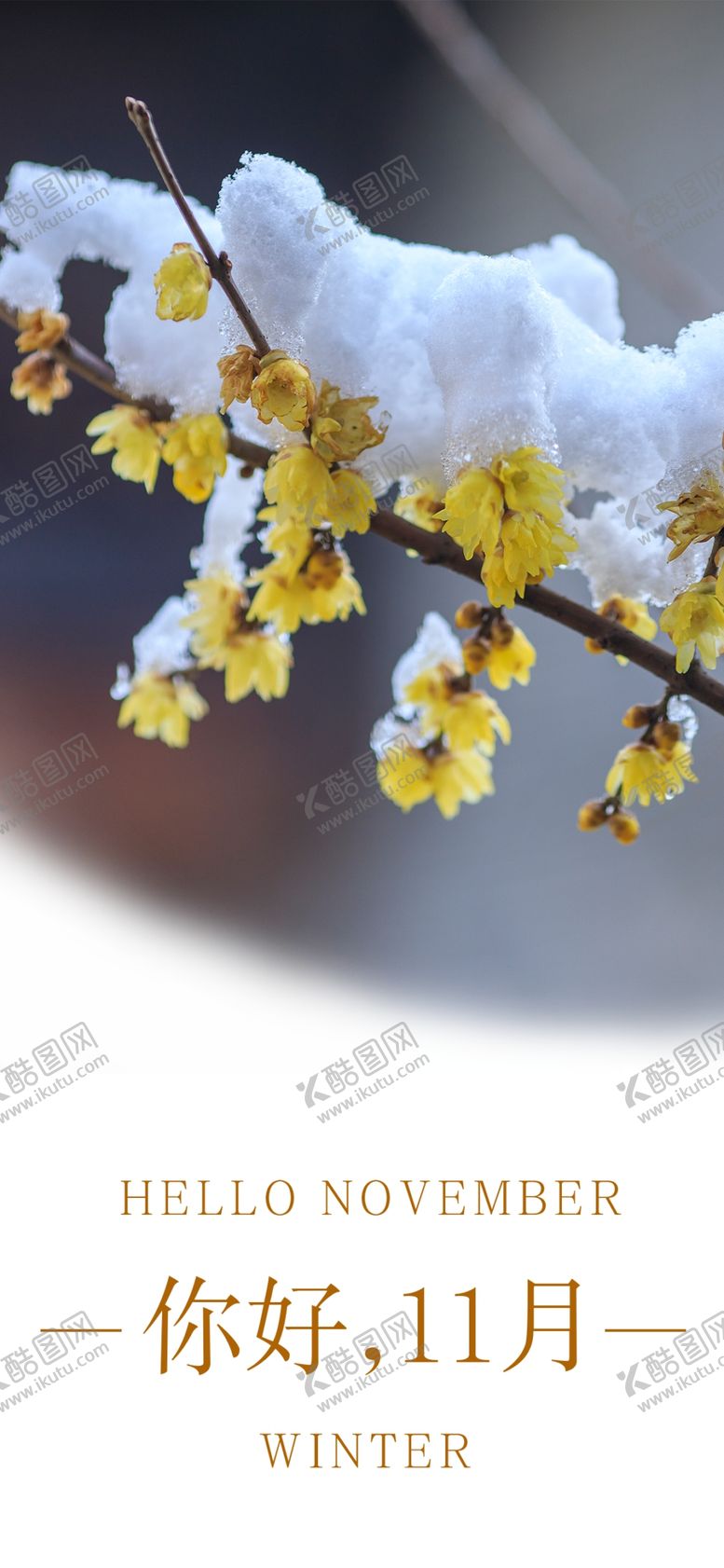 编号：75552306290515472864【酷图网】源文件下载-十一月你好