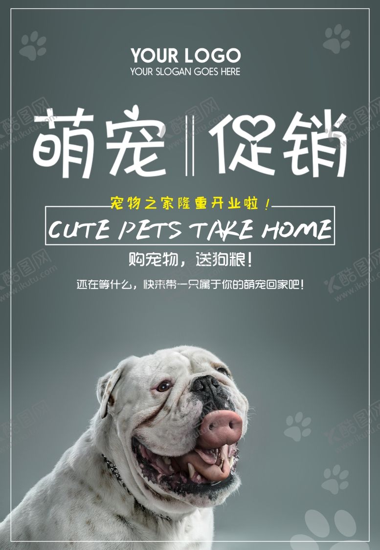 编号：81015310312233308721【酷图网】源文件下载-宠物之家海报