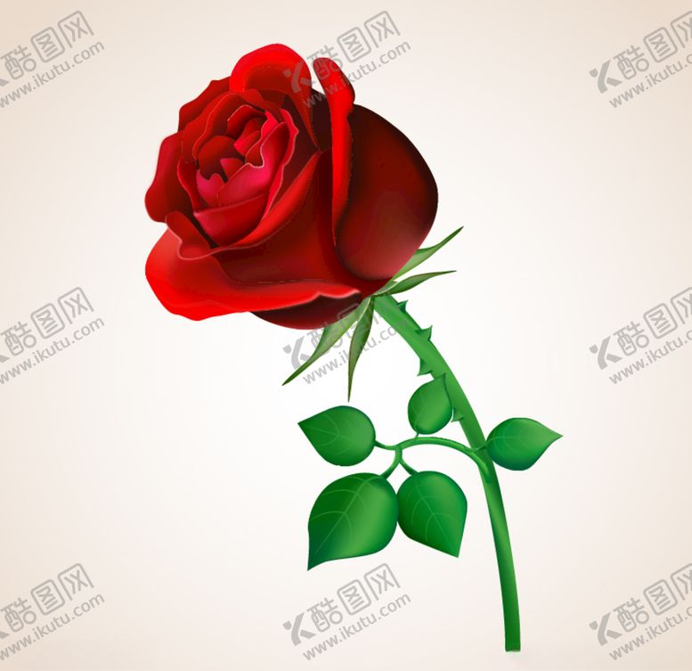 编号：60334109242247381887【酷图网】源文件下载-玫瑰花