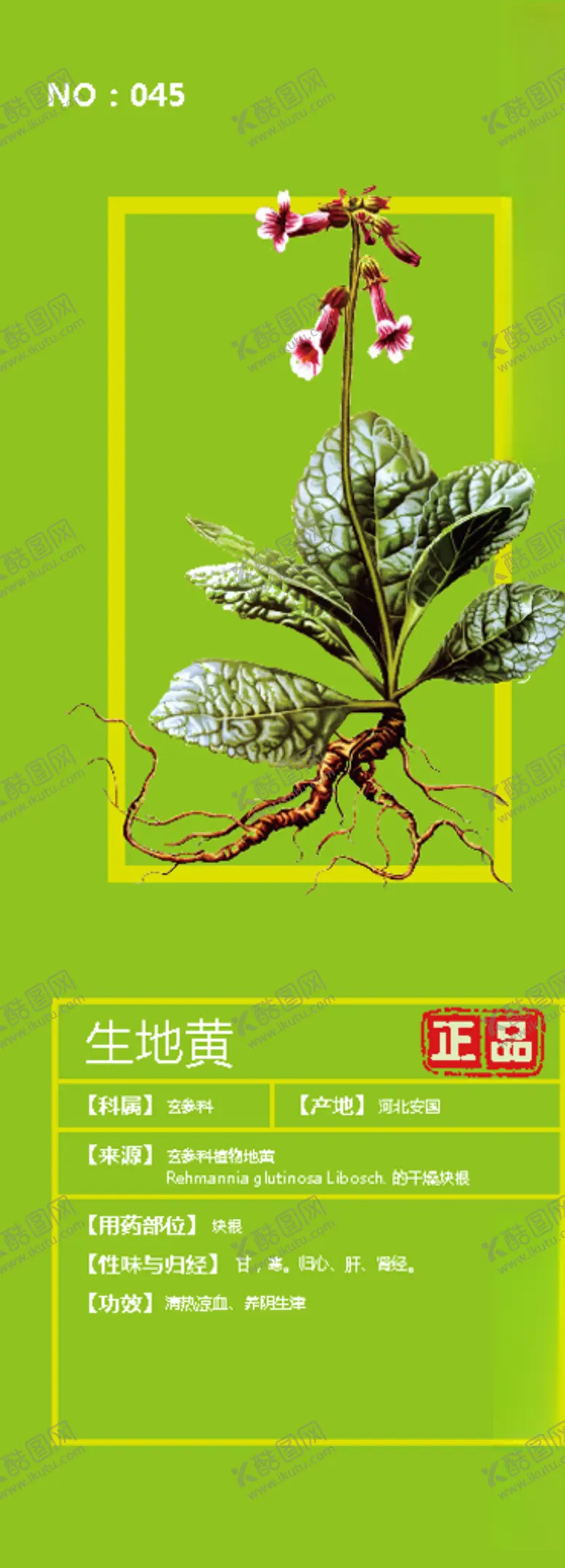 编号：48142204061549231417【酷图网】源文件下载-生地黄
