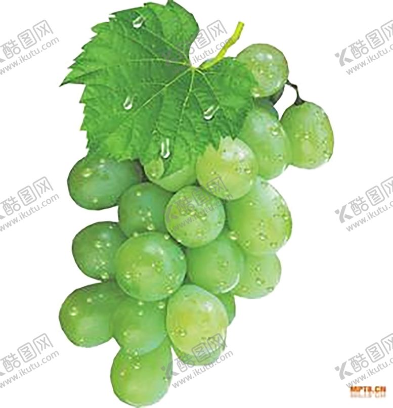 编号：43004909161326413282【酷图网】源文件下载-葡萄