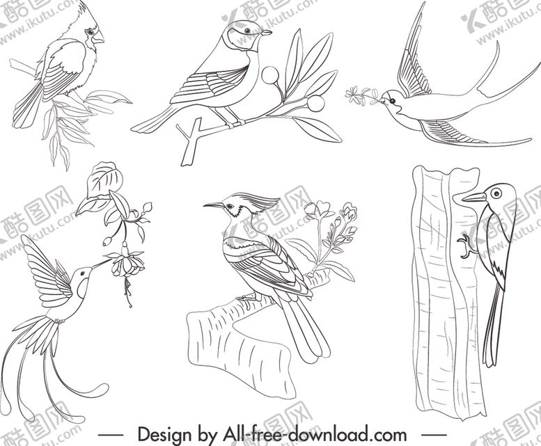 编号：29665110310626144123【酷图网】源文件下载-鸟类素描
