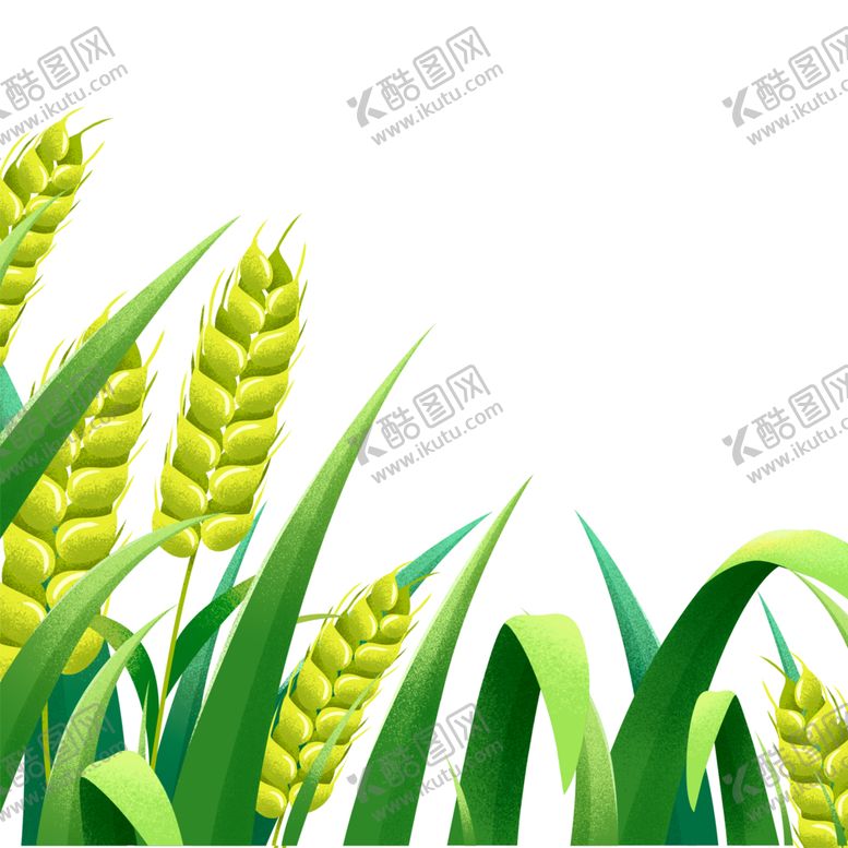 编号：14499210240137097101【酷图网】源文件下载-小麦