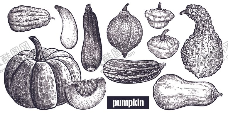 编号：41286310061522074053【酷图网】源文件下载-披萨