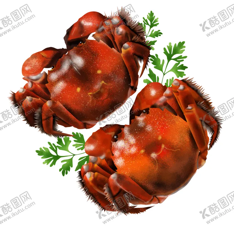 编号：48403603190959533424【酷图网】源文件下载-螃蟹