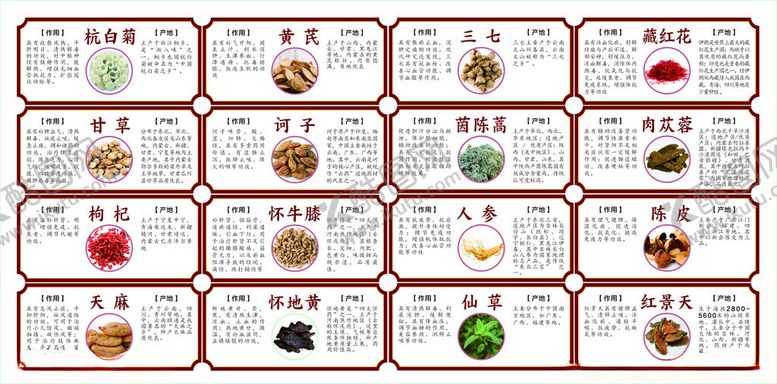 编号：66553911012249184262【酷图网】源文件下载-中草药标签