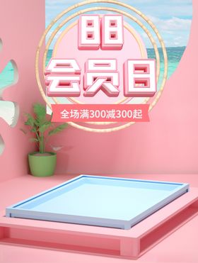 88会员日