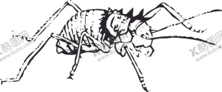 编号：75598310170223484960【酷图网】源文件下载-自然昆虫蝴蝶标本插画