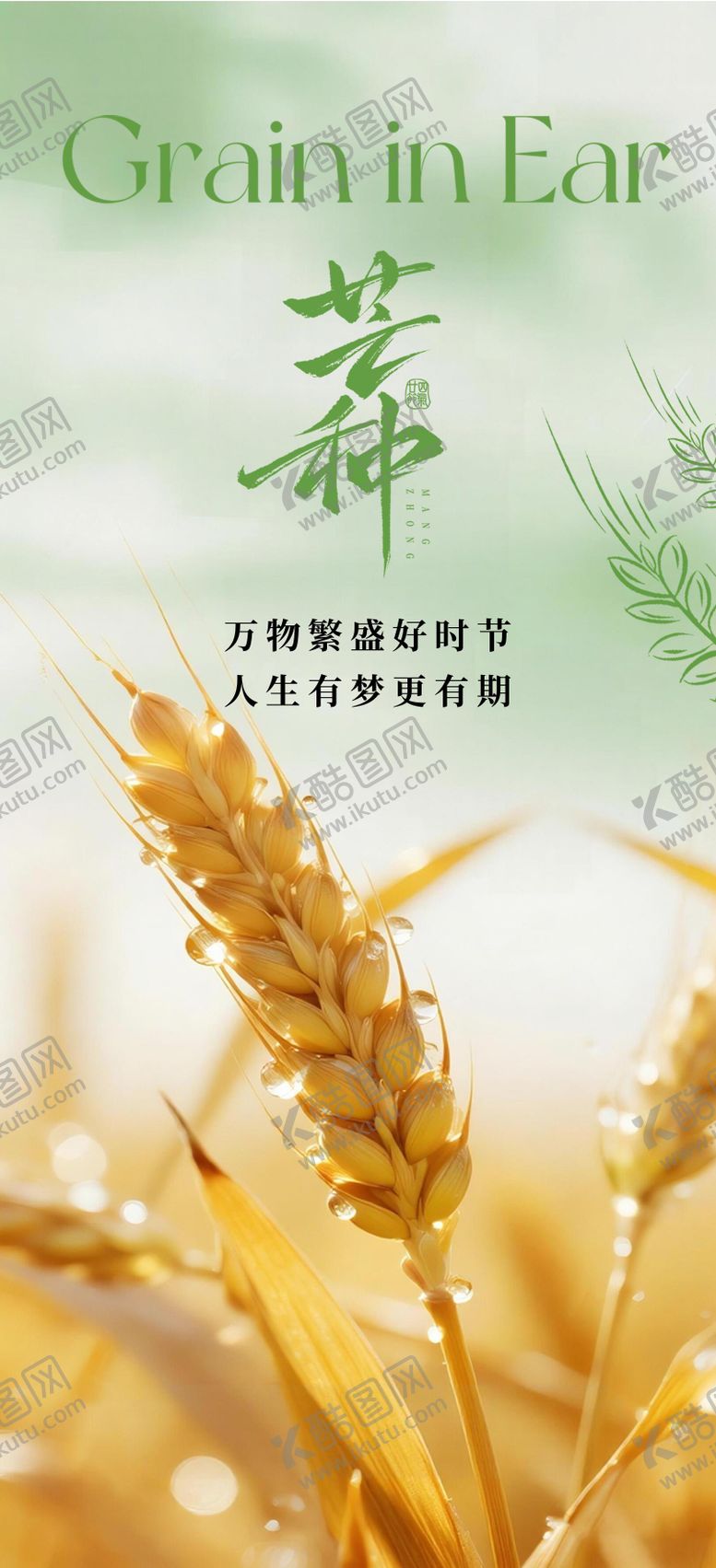 编号：49522506010007159062【酷图网】源文件下载-地产芒种节气海报