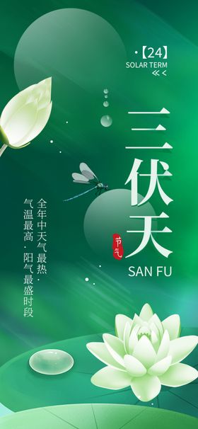 清新三伏天荷花主题插画