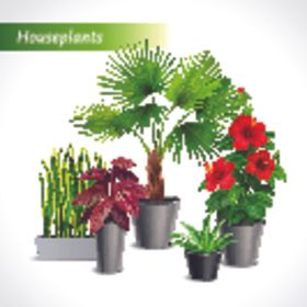 盆栽植物摆件