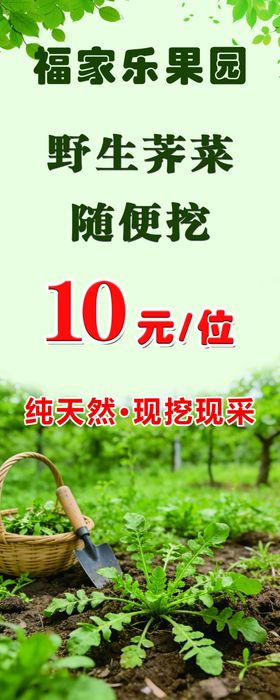福乐果园野菜10元随便挖