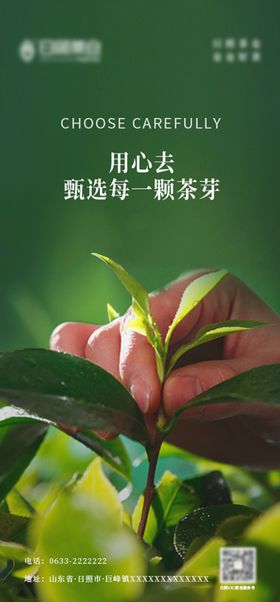 风行T5L上市宣传海报