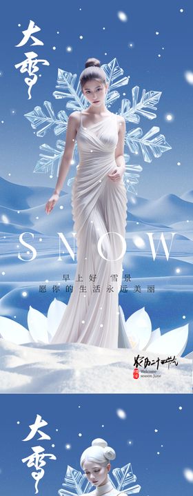 医美大雪冬至二十四节气海报