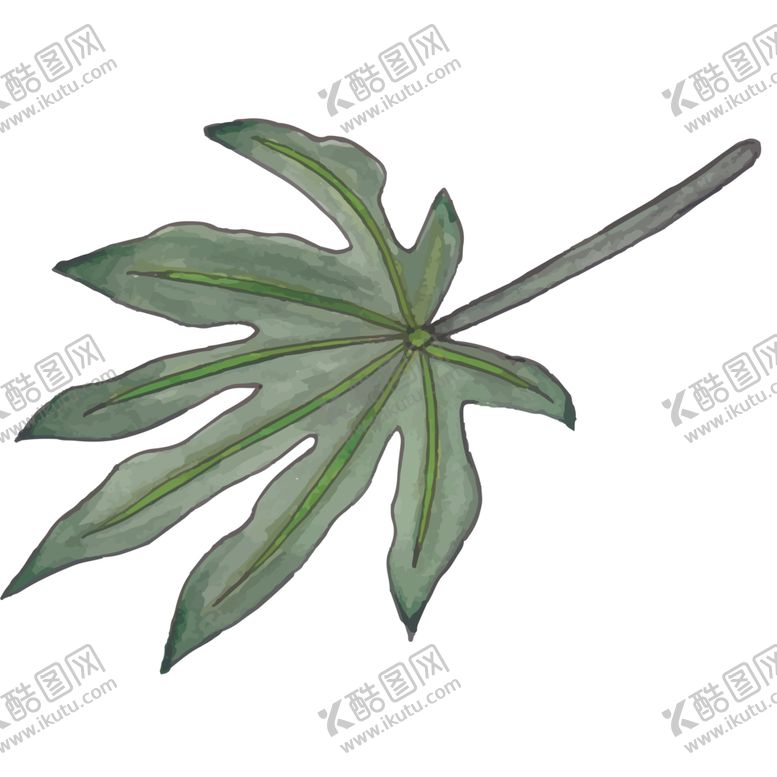 编号：20757610060136113951【酷图网】源文件下载-叶子图片