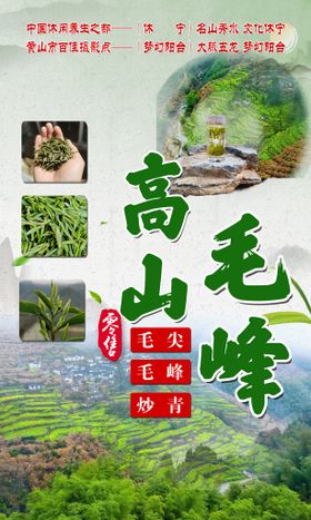 高山气膜  名牌