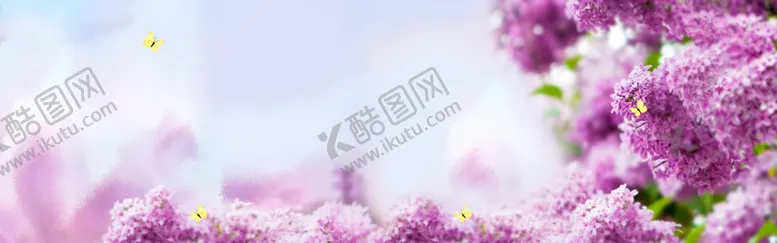 编号：66140206281308524638【酷图网】源文件下载-紫色梦幻花朵