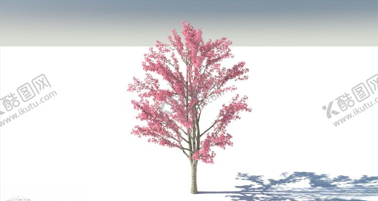 编号：33617006250451472054【酷图网】源文件下载-C4D模型树木果树红枫