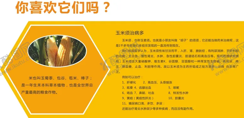编号：31346711210222125902【酷图网】源文件下载-花生的生长过程