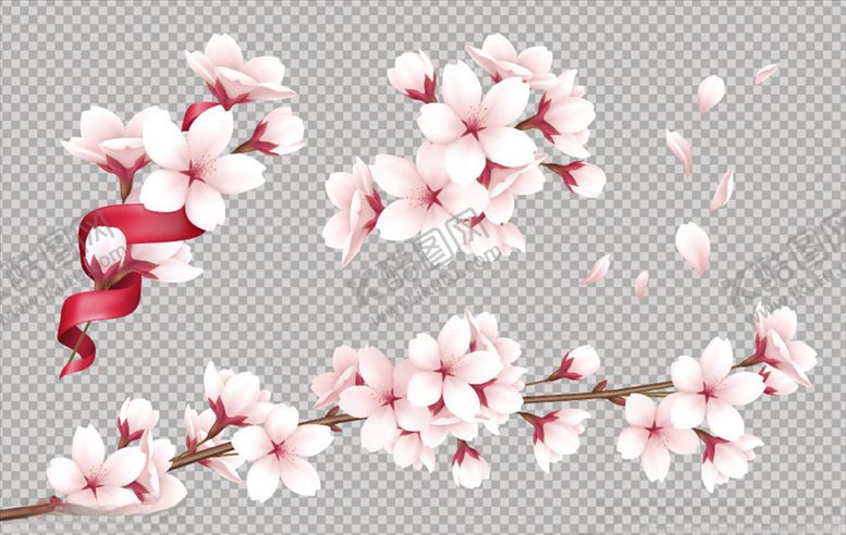 编号：17344810310919423580【酷图网】源文件下载-樱花