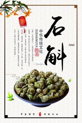 石斛中药材中药文化中医中药