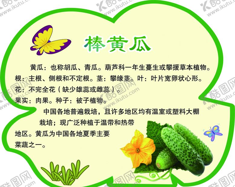 编号：51024710021201460197【酷图网】源文件下载-棒黄瓜