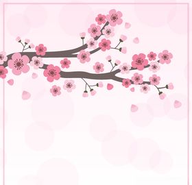 樱花