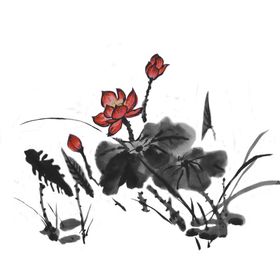 中国风山水荷花手绘画