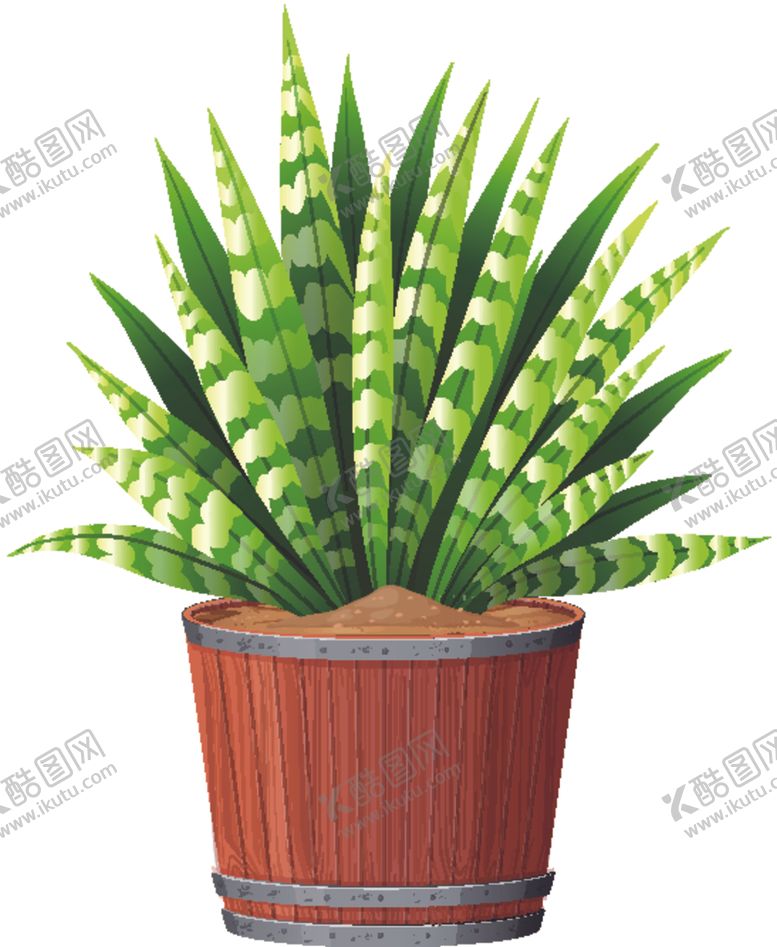 编号：19911209270630536507【酷图网】源文件下载-盆景盆栽