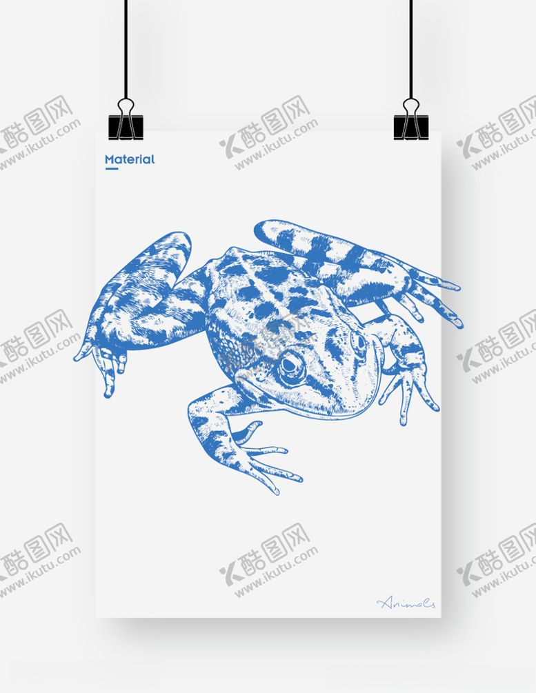 编号：69419709261955322038【酷图网】源文件下载-青蛙