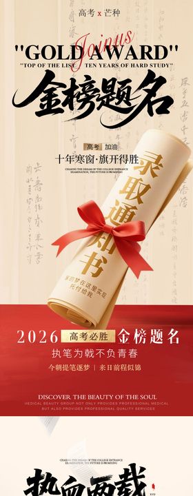 高考遇芒种励志冲刺海报