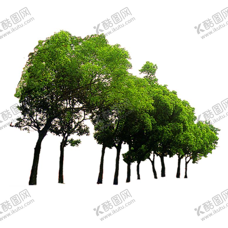 编号：92985410041100472334【酷图网】源文件下载-绿色装饰